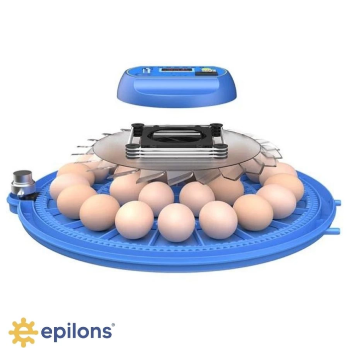 KESGİN MARKET® 80/240 Kapasiteli Çift Viyollü Kuluçka Makinesi Kaz Ördek Tavuk Bıldırcın Kuşlar İçin