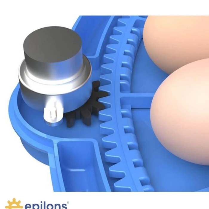 KESGİN MARKET® 80/240 Kapasiteli Çift Viyollü Kuluçka Makinesi Kaz Ördek Tavuk Bıldırcın Kuşlar İçin