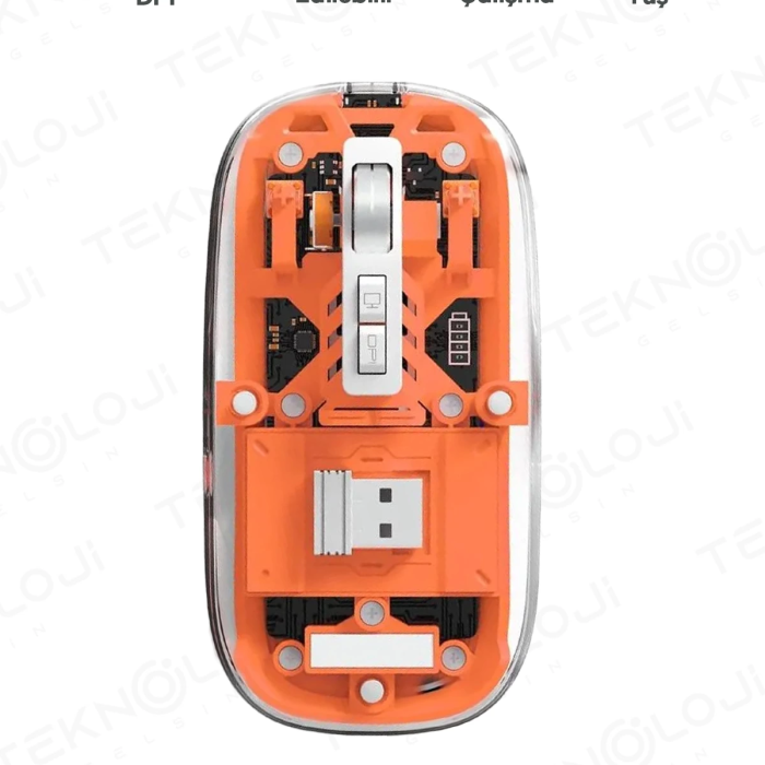 KESGİN MARKET® Bluetooth Usb Çift Modlu Sessiz Mouse, Şeffaf Mıknatıslı Kapaklı, Type-c Şarjlı, Dpı Ayarlı, Kablosuz 10m Çekim Mesafeli, Masaüstü Kısayol Tuşlu, Taşınabilir Şarjlı Mouse Turuncu