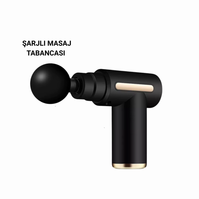 LF6140 Masaj Cihazı