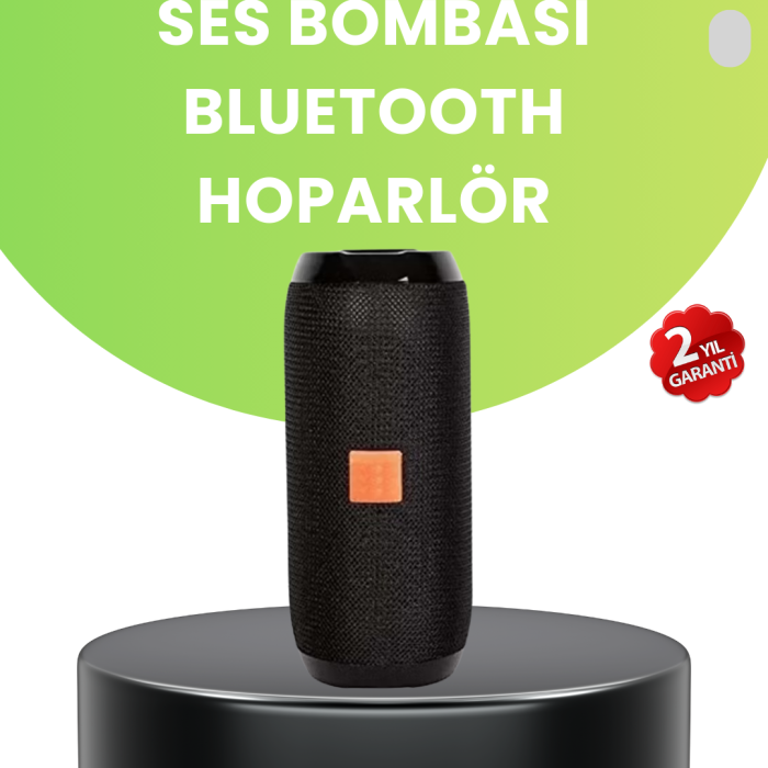 Taşınabilir Kablosuz Hoparlör 2 Woofer 2 Tweeter 12 Saat Oynatma