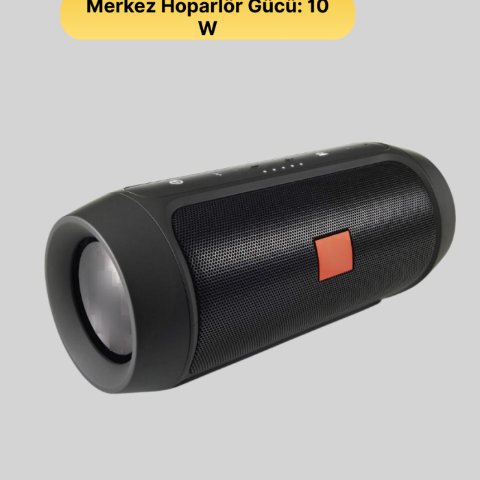 Taşınabilir Kablosuz Hoparlör 2 Woofer 2 Tweeter 12 Saat Oynatma