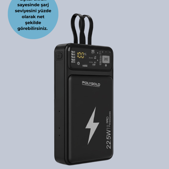 PGPW10 POWERBANK