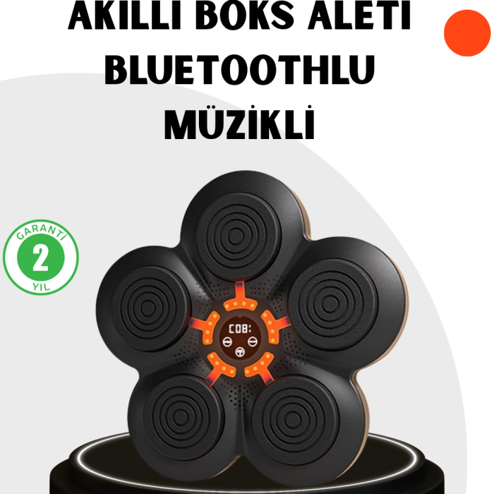 KESGİN MARKET ® Evde Fitness İçin Akıllı Boks Makinesi Işıklı Vuruş Noktalı Bluetoothlu