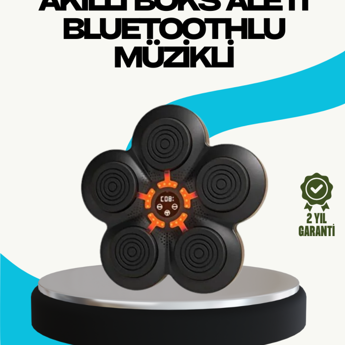 KESGİN MARKET ® Ev Tipi Akıllı Boks Duvar Paneli Müzikli Bluetoothlu Refleks Geliştirme Cihazı