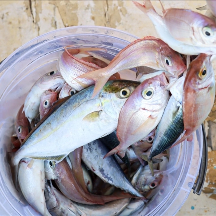 KESGİN MARKET®Misina İpi 300 Metre