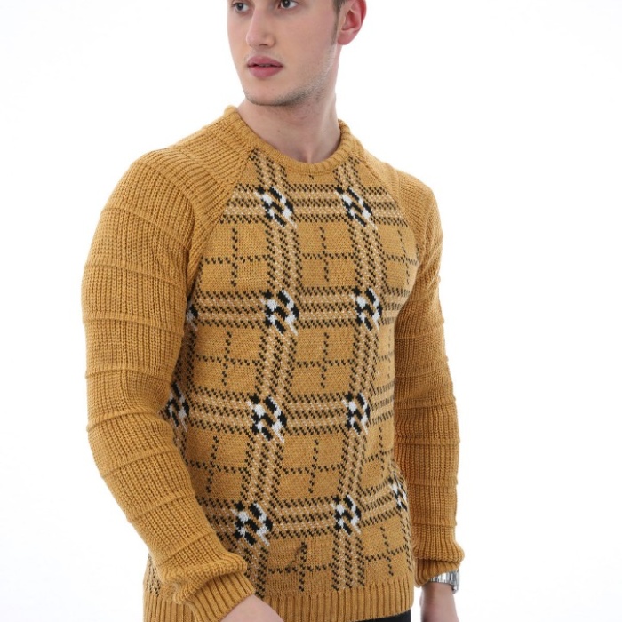 Ekose Desenli Sıfır Yaka Erkek Günlük Triko Kazak