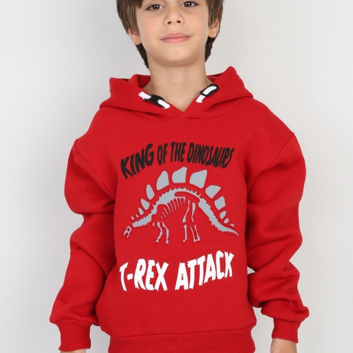 Üç İplik Şardonlu Baskılı Kapşonlu Erkek Çocuk Günlük Sweatshirt