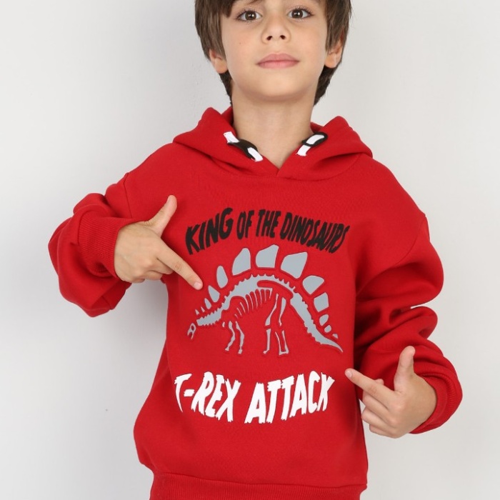 Üç İplik Şardonlu Baskılı Kapşonlu Erkek Çocuk Günlük Sweatshirt