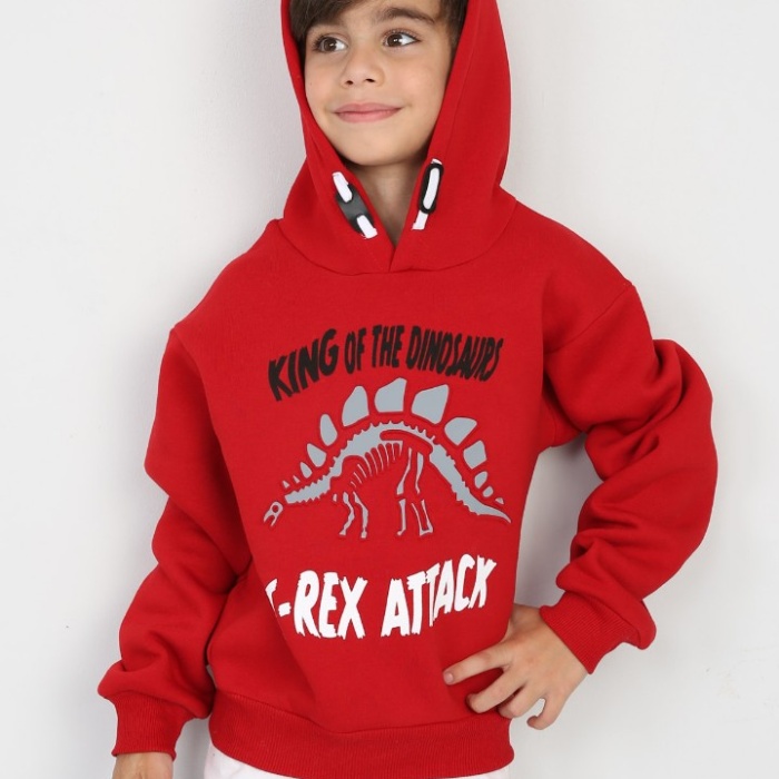 Üç İplik Şardonlu Baskılı Kapşonlu Erkek Çocuk Günlük Sweatshirt