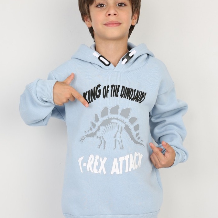 Üç İplik Şardonlu Baskılı Kapşonlu Erkek Çocuk Günlük Sweatshirt