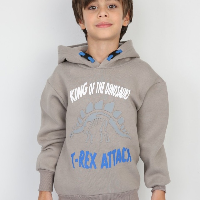 Üç İplik Şardonlu Baskılı Kapşonlu Erkek Çocuk Günlük Sweatshirt