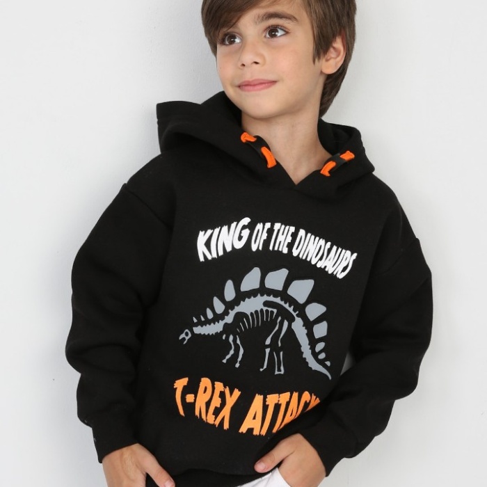 Üç İplik Şardonlu Baskılı Kapşonlu Erkek Çocuk Günlük Sweatshirt