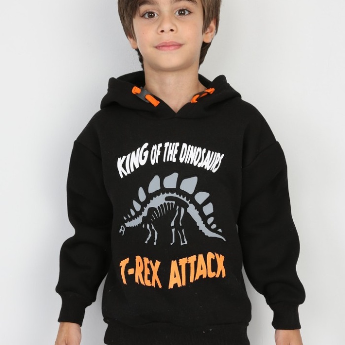 Üç İplik Şardonlu Baskılı Kapşonlu Erkek Çocuk Günlük Sweatshirt
