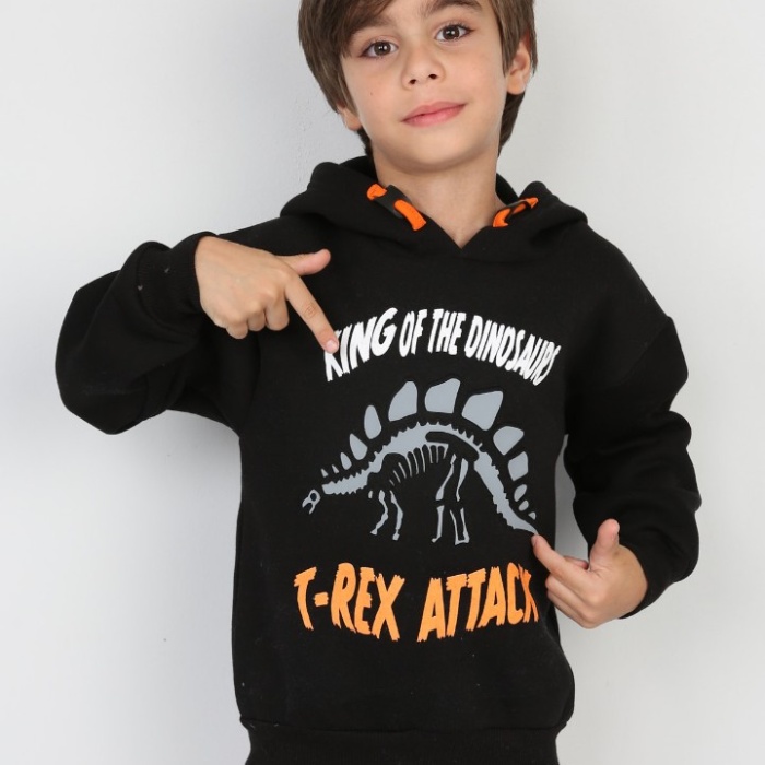 Üç İplik Şardonlu Baskılı Kapşonlu Erkek Çocuk Günlük Sweatshirt