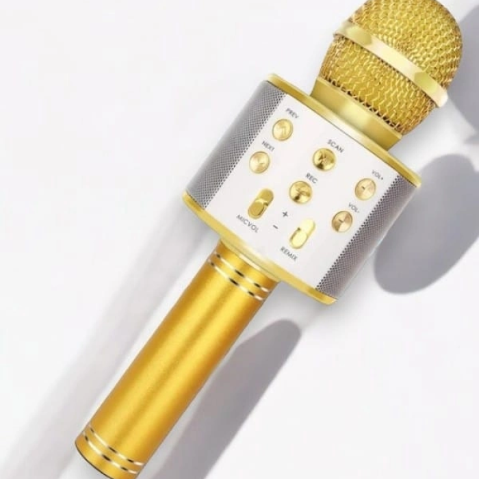 Kareoke  Mıkrofon
