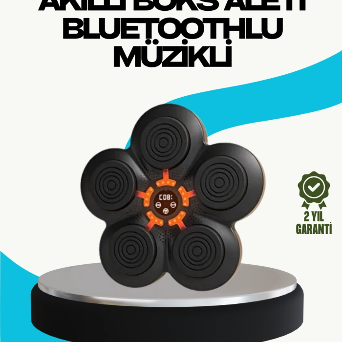 Ev Tipi Akıllı Boks Duvar Paneli Müzikli Bluetoothlu Refleks Geliştirme Cihazı
