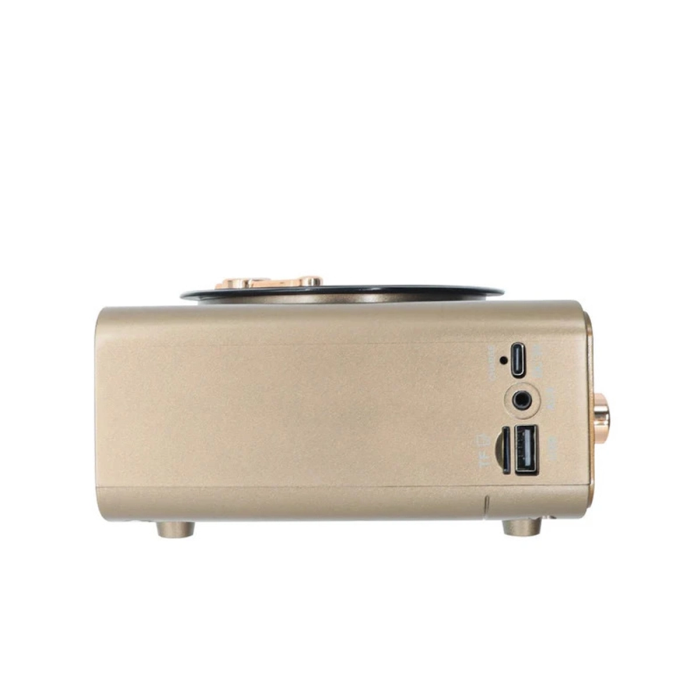 Metalik Nostaljik Tasarım Plak Çalar Görünümlü Radyolu Bluetooth Hoparlör Retro Müzik Plak