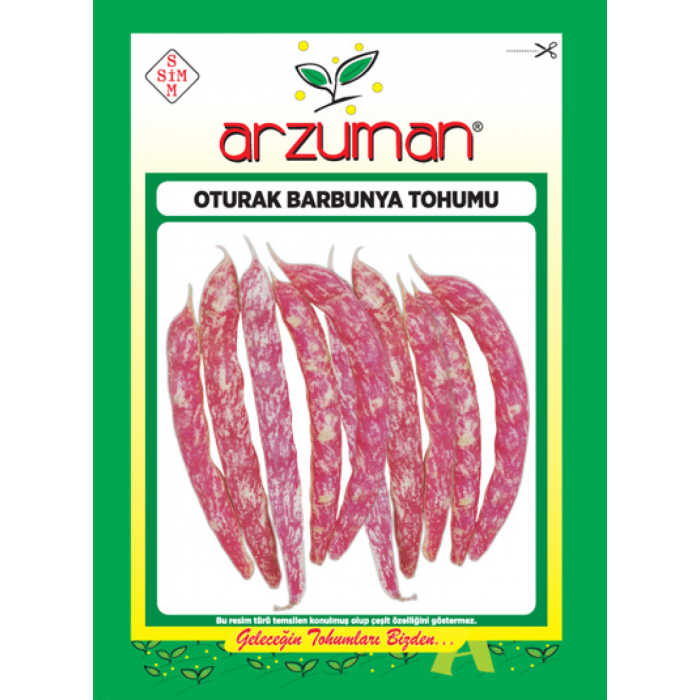 Oturak Barbunya Tohumu 50 Gr