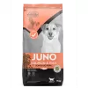 JUNO Somonlu Yetişkin Köpek 15kg
