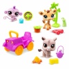 HediyeCantam 5240 Littlest Pet Shop Minişler Safari Oyun Seti S1 -Sunman