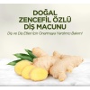 HediyeCantam Eyüp Sabri Tuncer Doğal Diş Macunu 90 Gr Zencefil Özlü