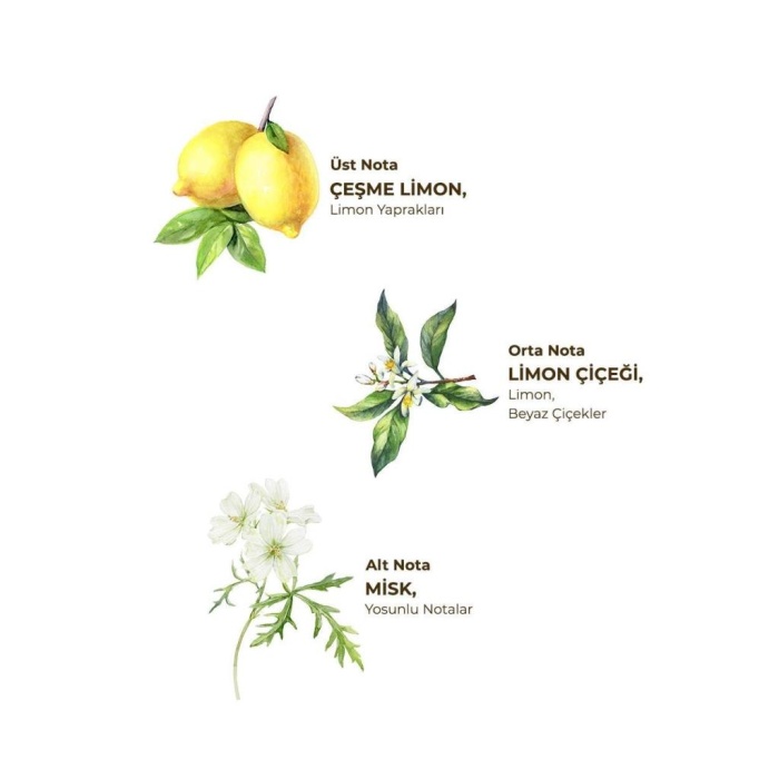 HediyeCantam Eyüp Sabri Tuncer Kolonya Pet Şişe Sprey 150 ml Çeşme Limonu