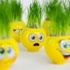 Emoji Şekilli Çim Adam Surat 1 Adet Okul Öncesi Sonrası Etkinlik