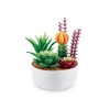HediyeCantam MN800010 - MN800000 Mini Brands - Botanik Bahçe 77559