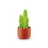 HediyeCantam MN800010 - MN800000 Mini Brands - Botanik Bahçe 77559