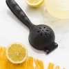 Döküm Limon Ve Narinciye Sıkacağı Büyük Boy 23 Cm