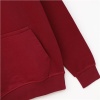Erkek Uzun Kol Bisiklet Yaka Triko - SWT-223 - Bordo