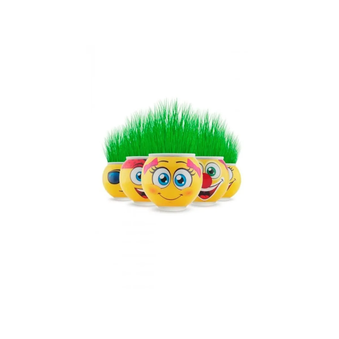 Emoji Şekilli Çim Adam Surat 1 Adet Okul Öncesi Sonrası Etkinlik