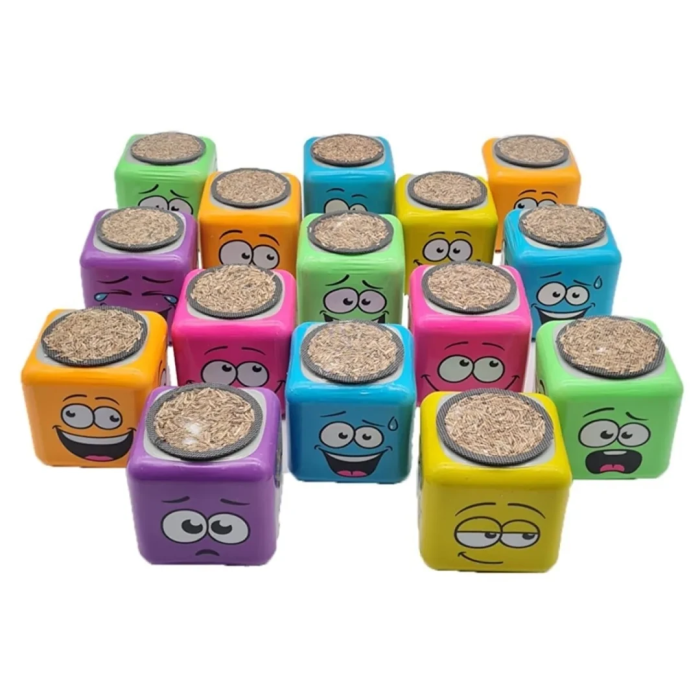 Kare Emoji Şekilli Çim Adam Surat 2 Adet Okul Öncesi Sonrası Etkinlik