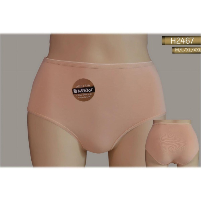 H2467 HELENA PARİS YÜKSEK BEL MODAL SLIP