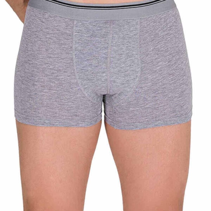 Likralı Erkek Büyük Beden Boxer Şort Gri 1097B