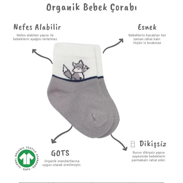 3lü Penye Soket Çorap Bs10109 Gri