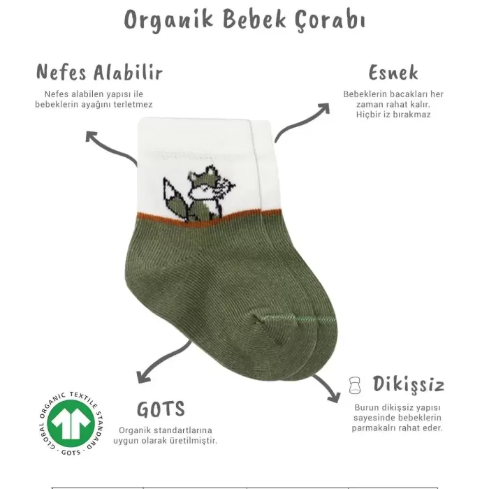 3lü Penye Soket Çorap Bs10109 Nil