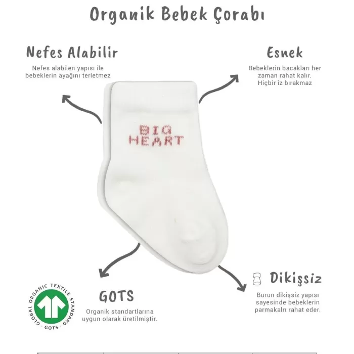 3lü Penye Soket Çorap Bs10110 Pudra