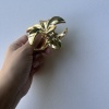 Lotus toka gold renk