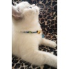 Zilli Kedi Köpek Boyun Tasması Bohem Kedi Kolyesi Yaylı Kilit - Açık Mavi