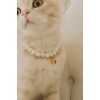 Cam İnci Kedi Kolyesi Zilli Kedi Tasması - Beyaz