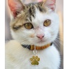 Pati Model Kişiye Özel Kedi ve Köpek İsim Künyesi - Sarı