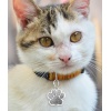 Pati Model Kişiye Özel Kedi ve Köpek İsim Künyesi - Gri