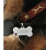 Kişiye Özel Kemik Model Patili Çelik Kedi Köpek Künyesi