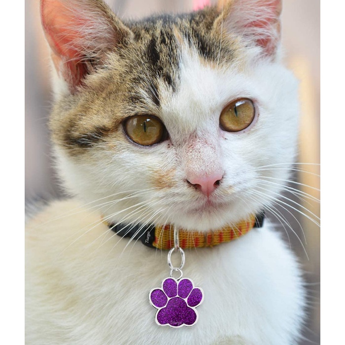 Pati Model Kişiye Özel Kedi ve Köpek İsim Künyesi - Mor