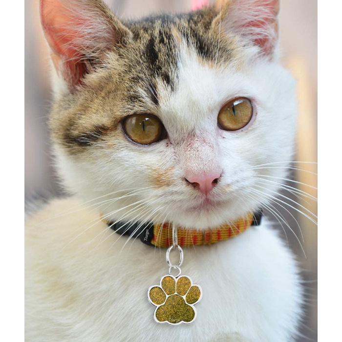 Pati Model Kişiye Özel Kedi ve Köpek İsim Künyesi - Sarı
