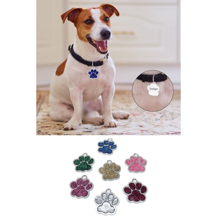 Pati Model Kişiye Özel Kedi ve Köpek İsim Künyesi - Gri