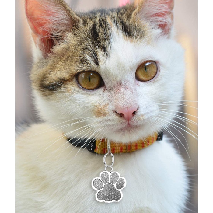 Pati Model Kişiye Özel Kedi ve Köpek İsim Künyesi - Gri