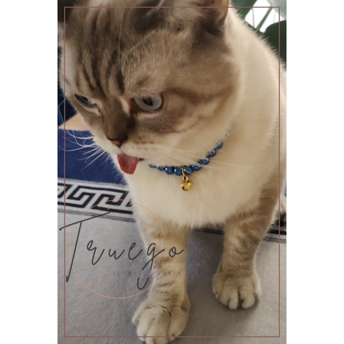 Cam İnci Kedi Kolyesi Zilli Kedi Tasması - Mavi